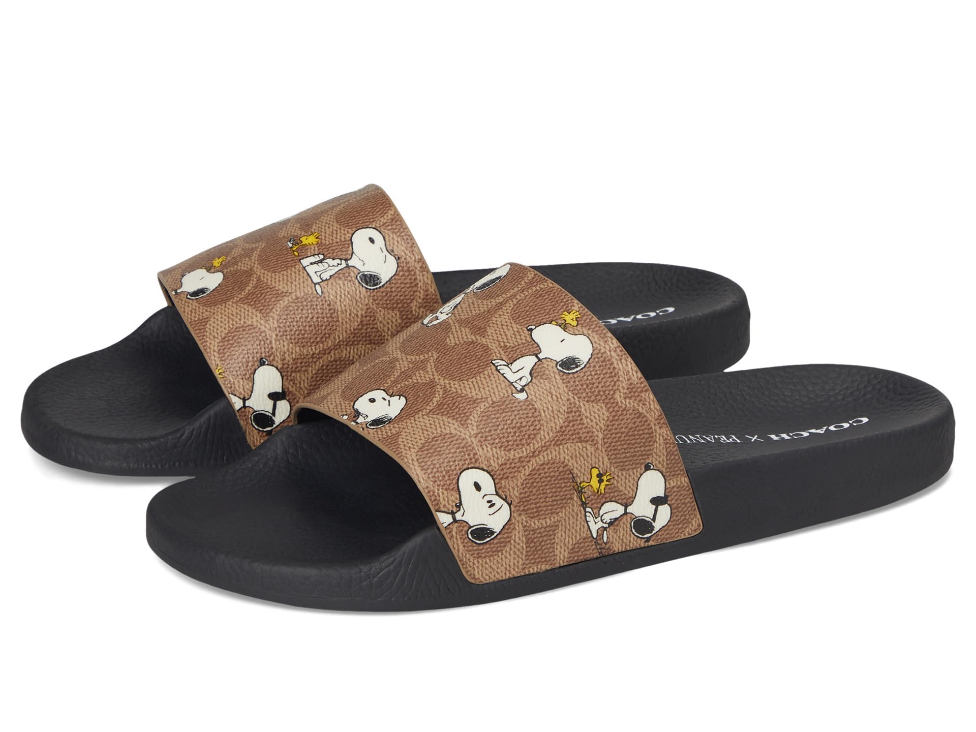 COACH Women's Udele Coated Canvas Slides