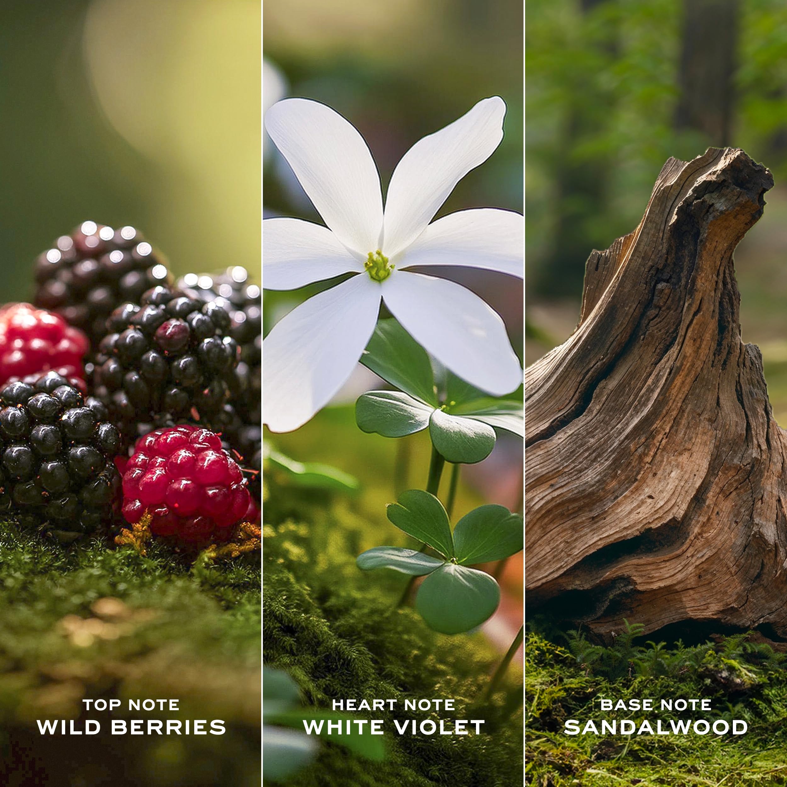 Marc Jacobs Daisy Eau de Toilette – Radiant Floral Women's Perfume – With Notes of Wild Berries